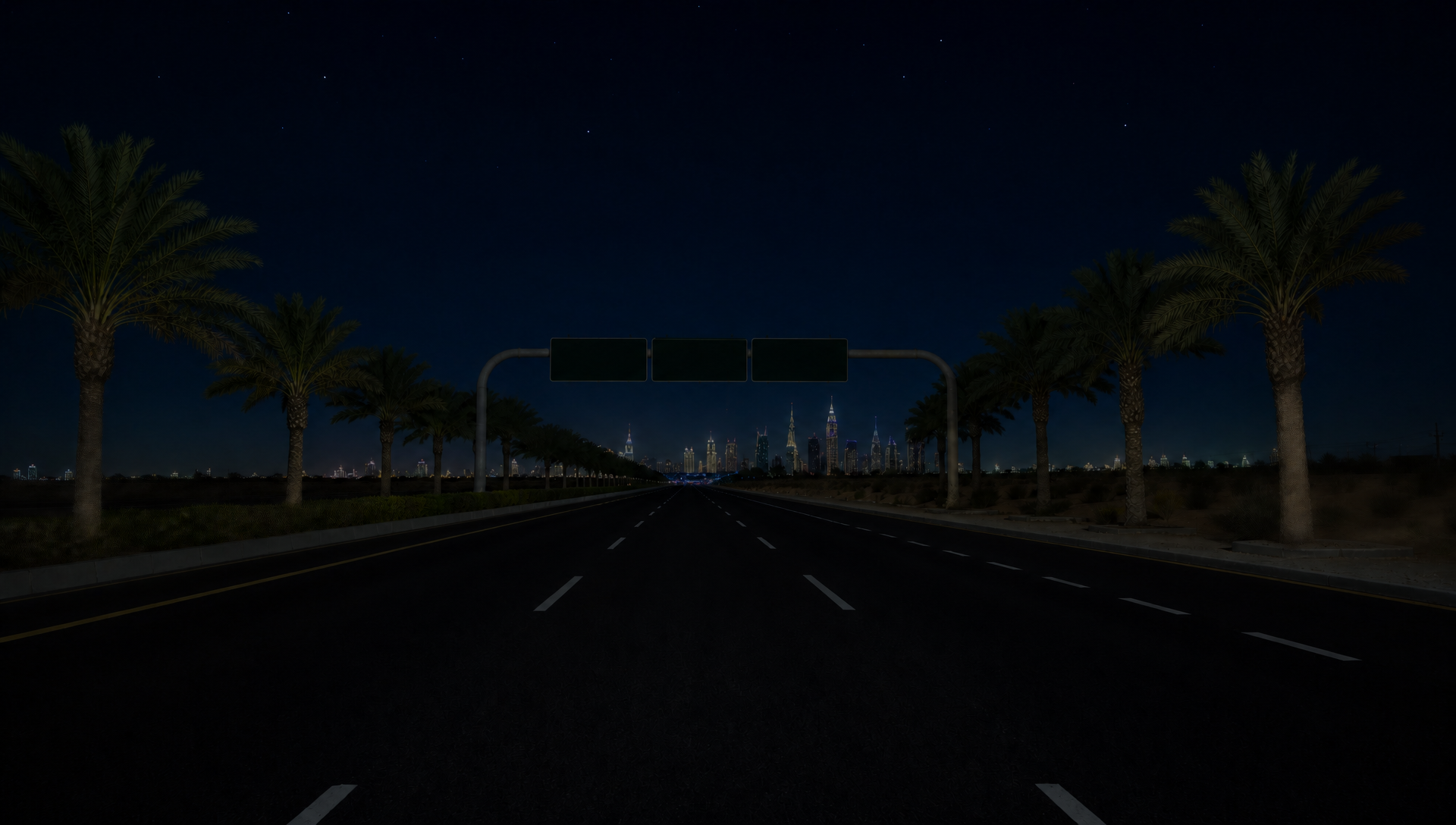 Birdie Dash Cam Night View